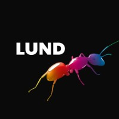LUND/SETHERN HOLDING AS
